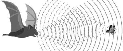 Radar and Artificial Intelligence (AI), the combination of the future