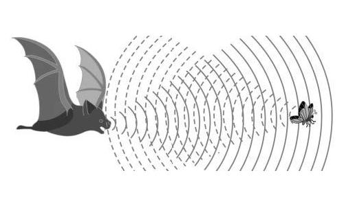 KIRaPol.Next Project started
